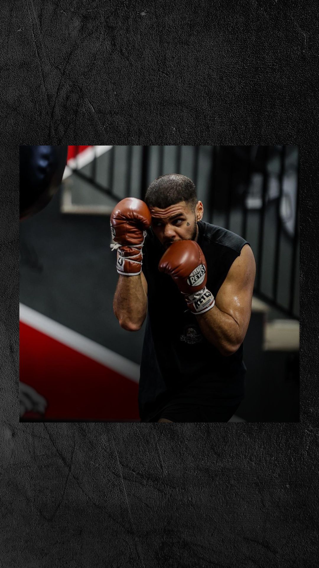 Montaser Aboughaly: Boxing career a...